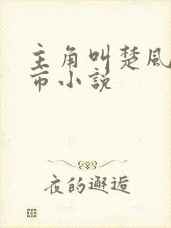 主角叫楚风的都市小说
