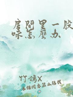 房间里一股尿骚味怎么办