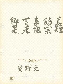 乡下来的真千金是老祖宗短剧