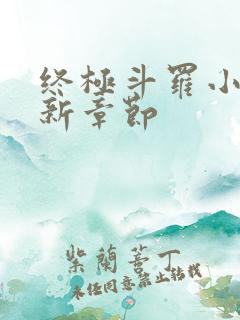 终极斗罗小说最新章节