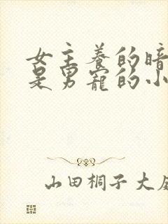 女主养的暗卫都是男宠的小说