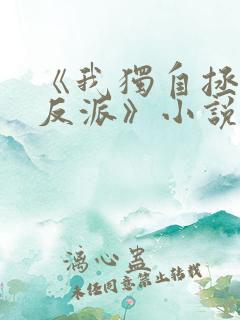 《我独自拯救女反派》小说