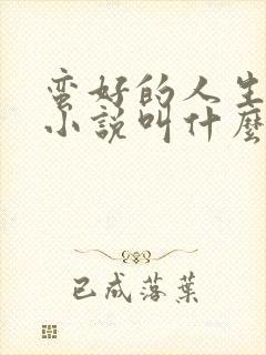 蛮好的人生原著小说叫什么名字