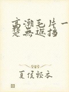 高潮毛片一清二楚无遮挡