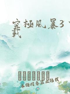 究极风暴3 下载