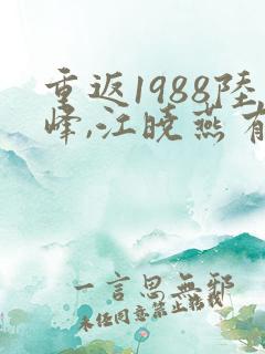 重返1988陆峰,江晓燕有声小说