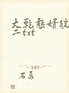大乾憨婿皖南牛二txt