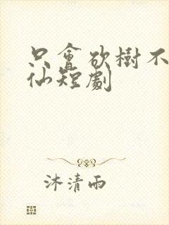 只会砍树不会修仙短剧