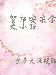 贺祁安宋念欢全文小说