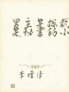 男主是总裁女主是秘书的小说