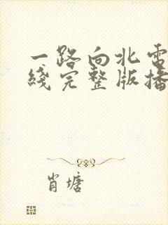 一路向北电影在线完整版播放国语