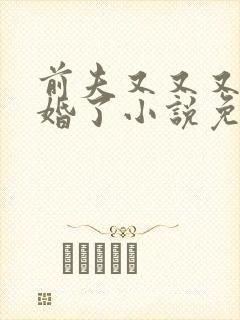 前夫又又又想复婚了小说免费阅读