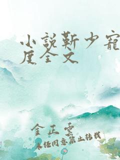 小说靳少宠妻无度全文