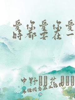 爱你爱你爱你随时都要在一起歌词