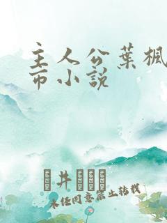 主人公叶枫的都市小说