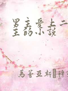 男主爱上二婚女主的小说