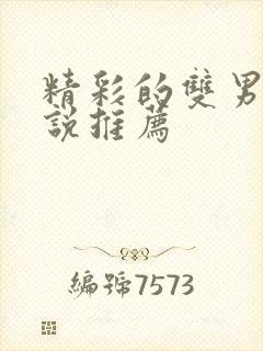 精彩的双男主小说推荐