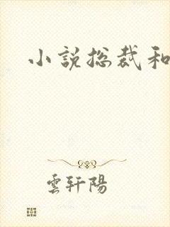 小说总裁和秘书