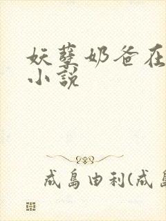 妖孽奶爸在都市小说