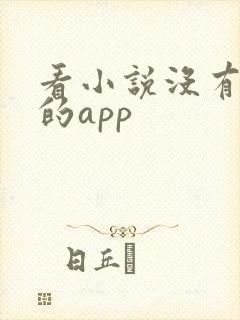 看小说没有广告的app