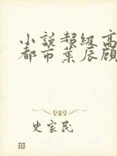 小说超级高手在都市叶辰顾梦瑶