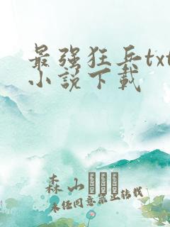 最强狂兵txt小说下载