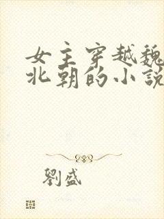 女主穿越魏晋南北朝的小说