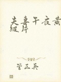 夫妻午夜黄色一级片