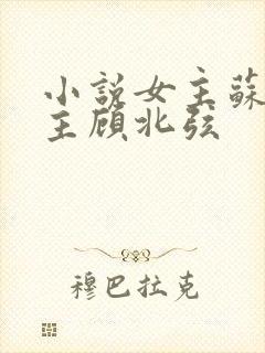 小说女主苏o男主顾北弦