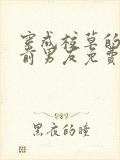 穿成校草的炮灰前男友免费阅读