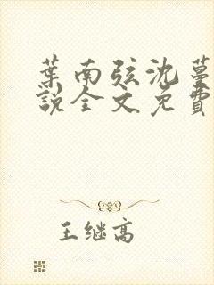 叶南弦沈蔓歌小说全文免费阅读