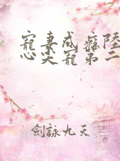 宠妻成瘾陆少的心尖宠第二季