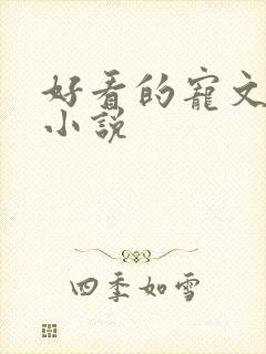 好看的宠文甜文小说