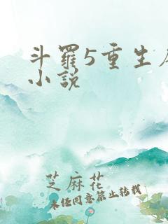 斗罗5重生唐三小说