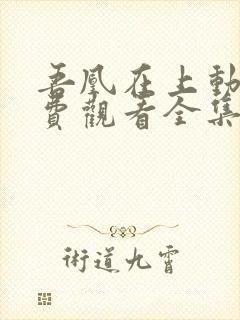 吾凰在上动漫免费观看全集快看