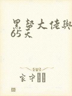 黑帮大佬与我365天