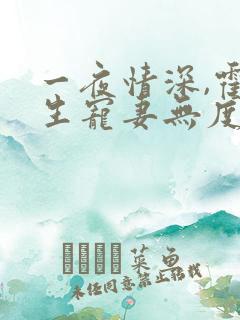 一夜情深,霍先生宠妻无度全书