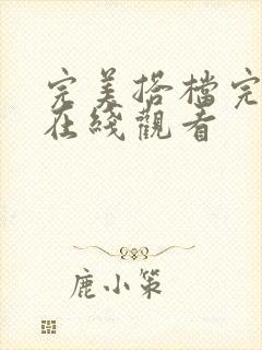 完美搭档完整版在线观看