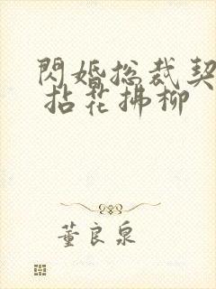 闪婚总裁契约妻 拈花拂柳