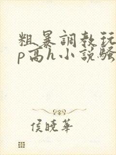 粗暴调教玩弄np高h小说骚受