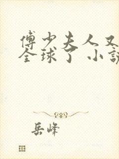 傅少夫人又惊艳全球了 小说