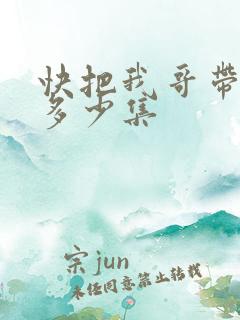快把我哥带走共多少集