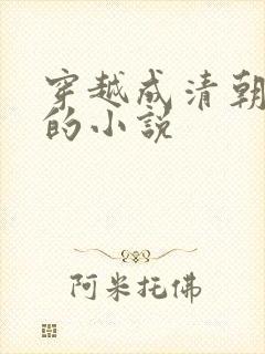 穿越成清朝阿哥的小说