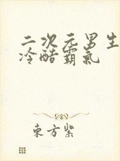 二次元男生帅气冷酷霸气