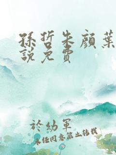 孙哲朱颜叶巧小说免费