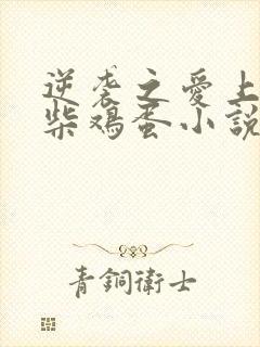 逆袭之爱上情敌柴鸡蛋小说免费阅读原文