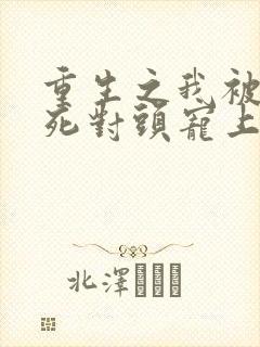 重生之我被渣男死对头宠上天短剧