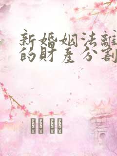 新婚姻法离婚后的财产分割