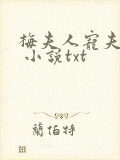 梅夫人宠夫日常 小说txt