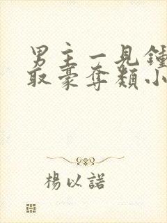 男主一见钟情强取豪夺类小说